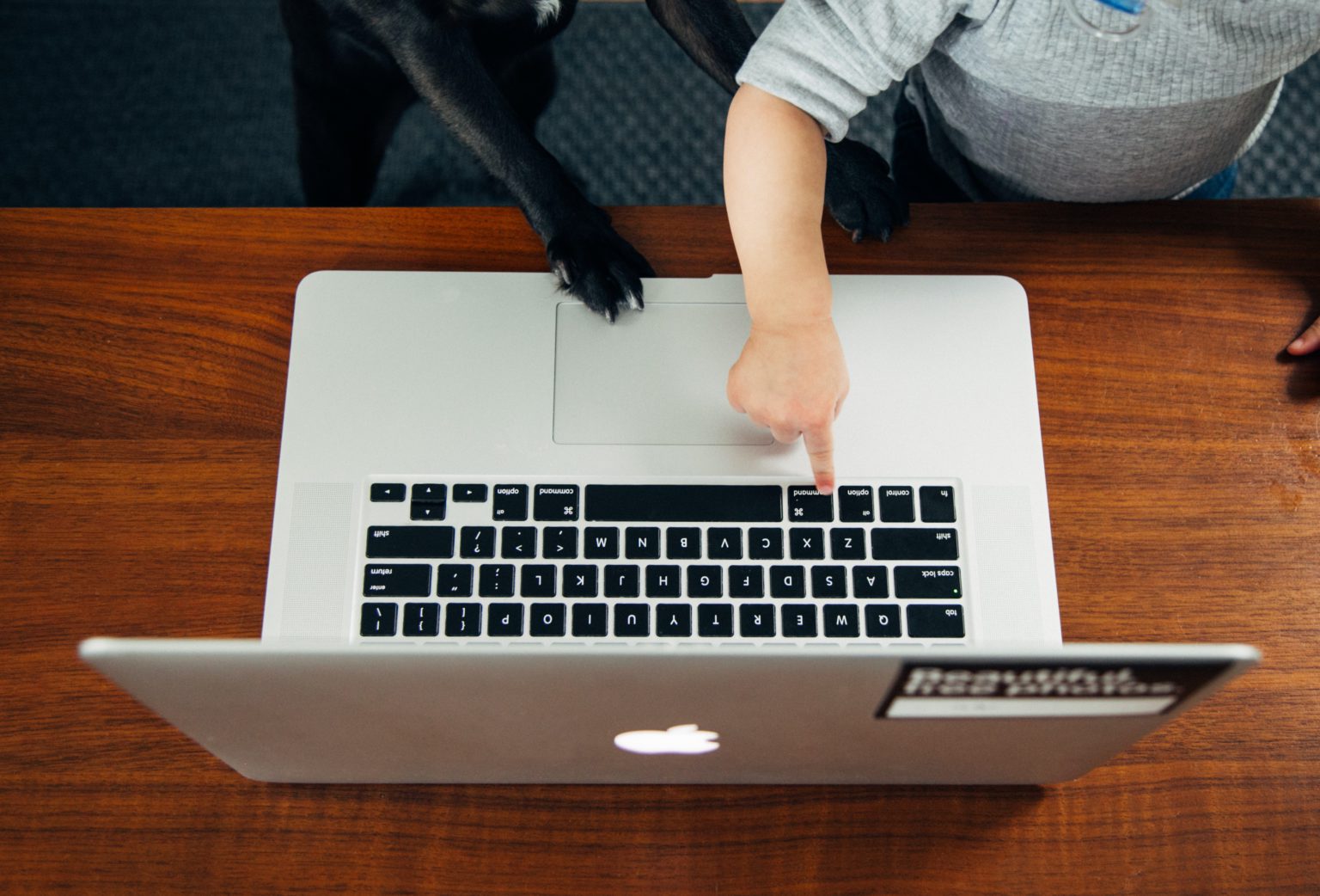 Photo of a child's hand and a dog's paw pressing keys on a laptop