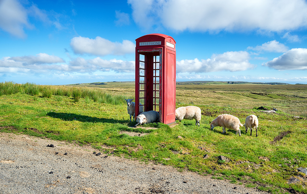 Photo of a phone box and sheep in a remote location